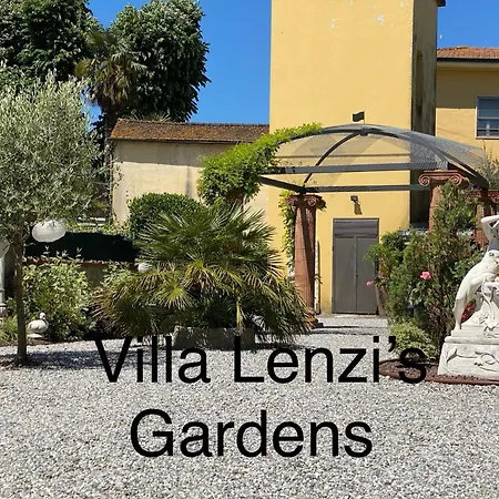 Lenz's Vicopisano